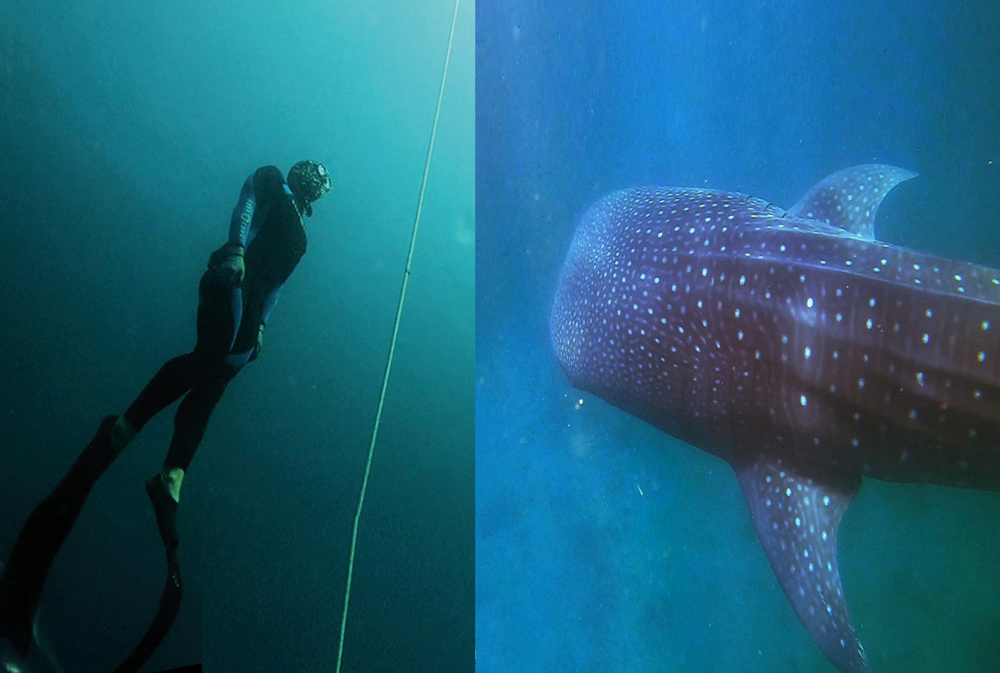 Atelier Visit (2 adults - 1,5h)